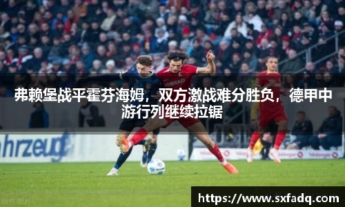 弗赖堡战平霍芬海姆，双方激战难分胜负，德甲中游行列继续拉锯